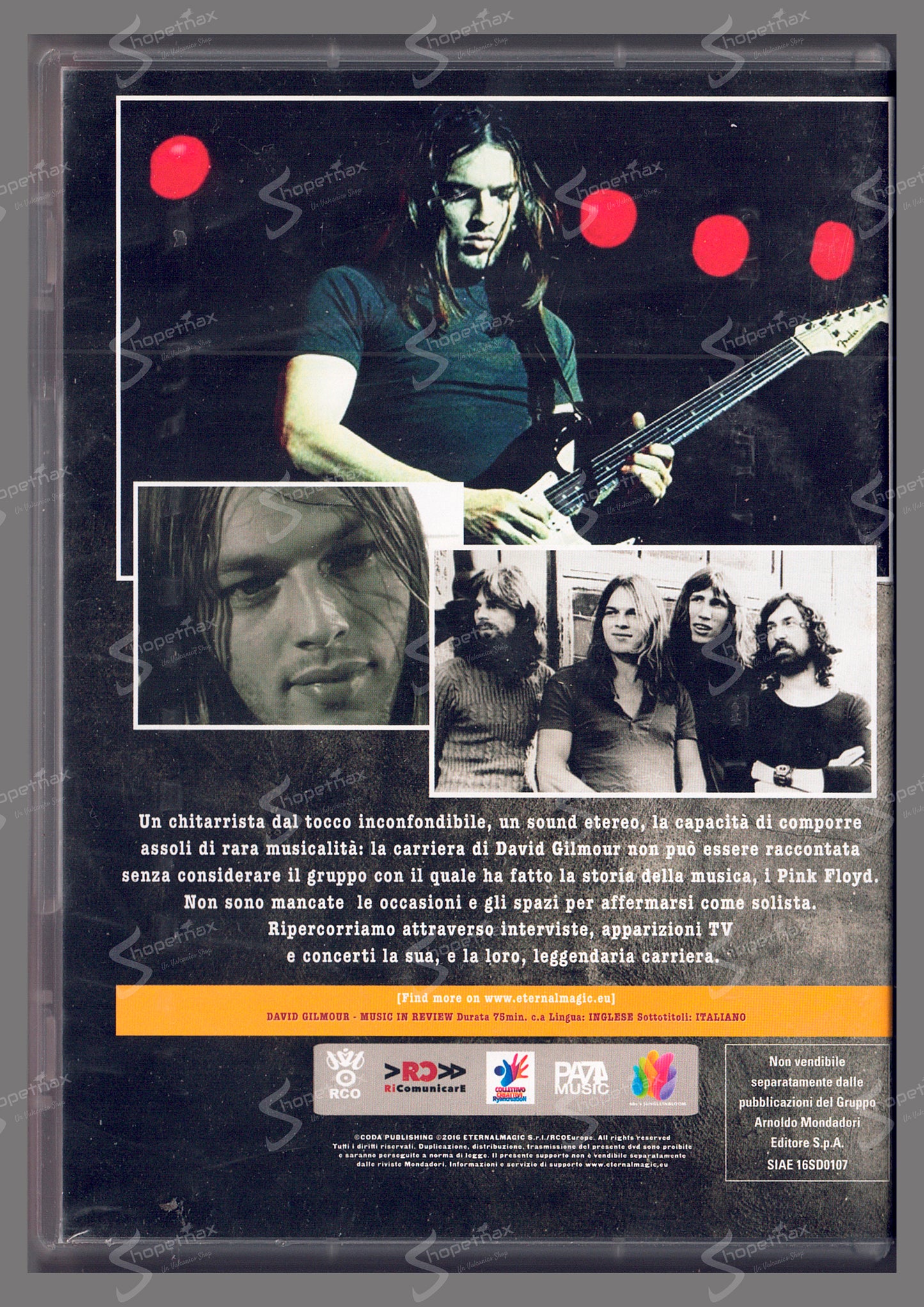 Pink Floyd - David Gilmour (2016) DVD Editoriale