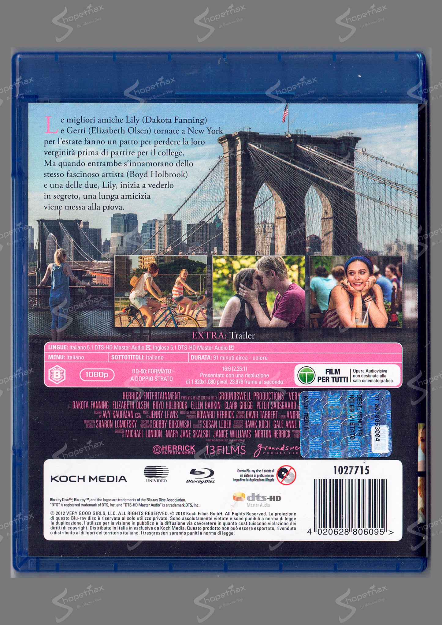 Very Good Girls (2013) BLU-RAY