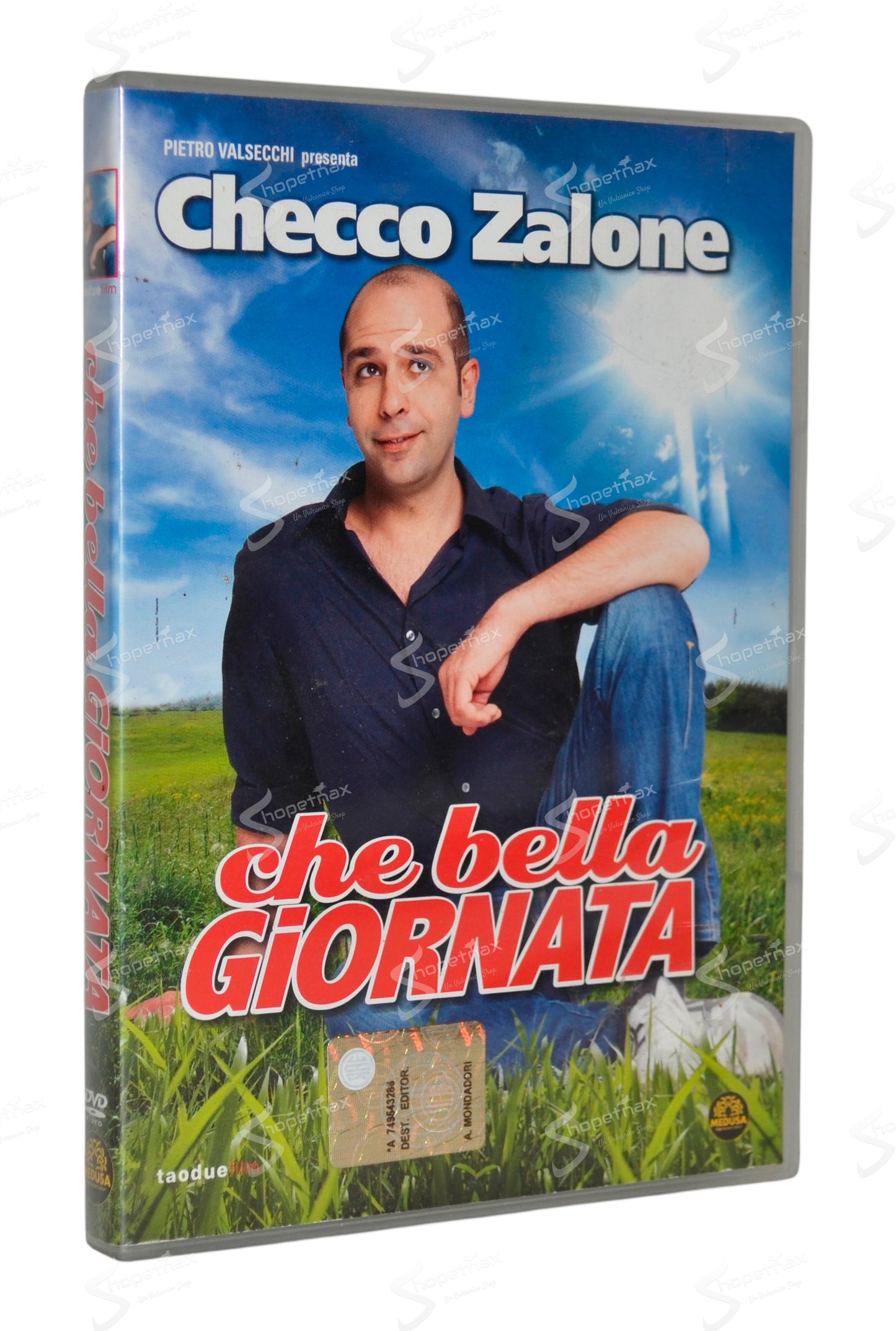 Che bella giornata (2011) DVD Editoriale