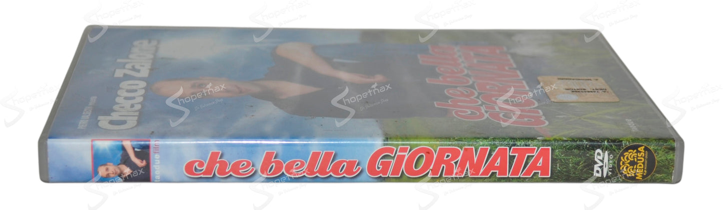Che bella giornata (2011) DVD Editoriale