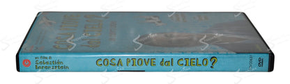 Cosa piove dal cielo? (Un cuento chino) (2011) DVD Ex Noleggio