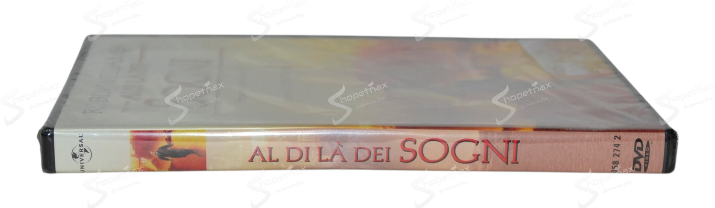 Al di là dei sogni (What Dreams May Come) (1998) DVD