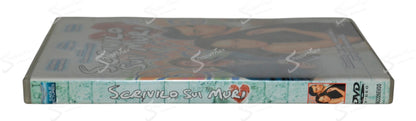 Scrivilo sui muri (2007) DVD