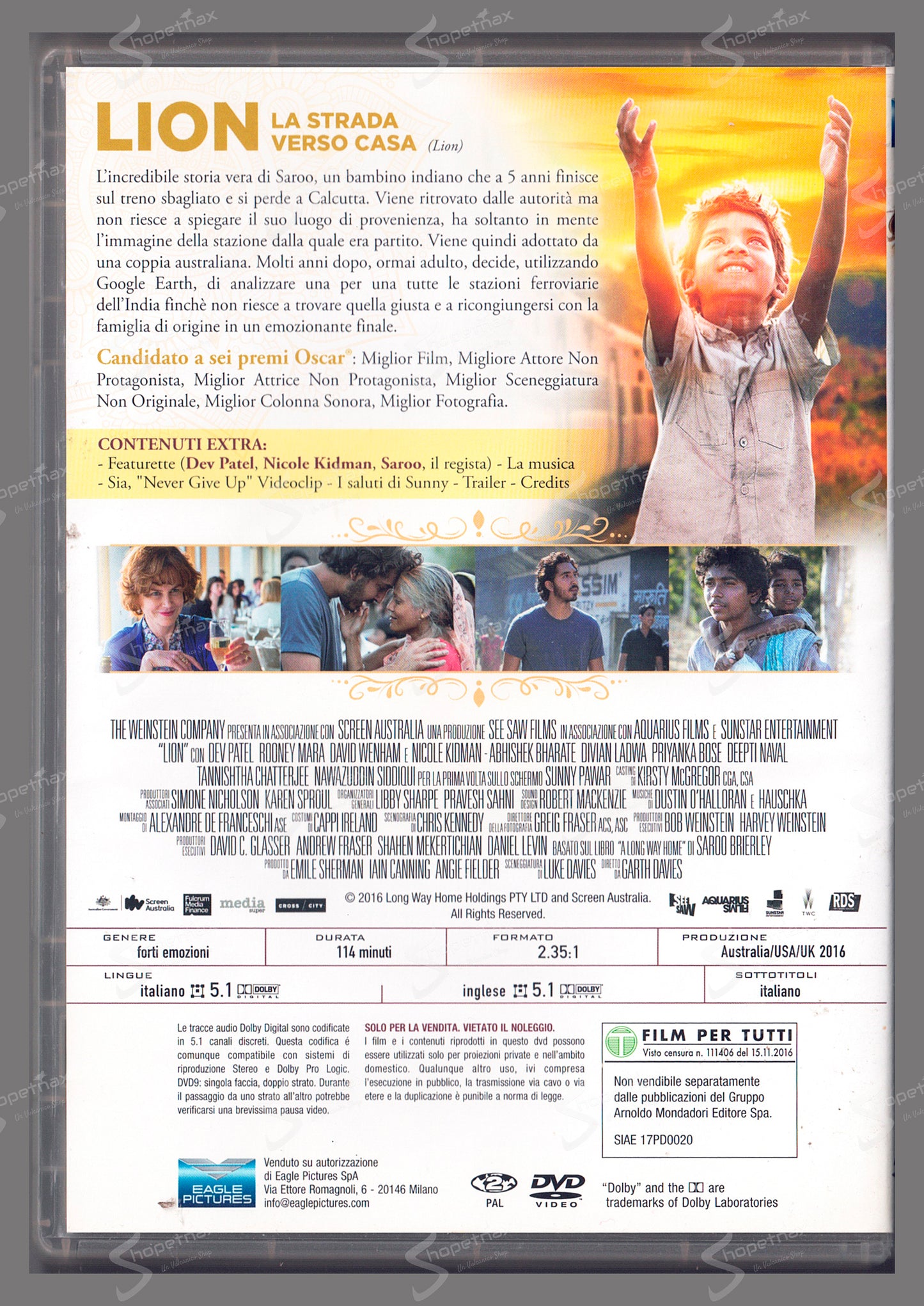 Lion - La strada verso casa (2016) DVD Editoriale