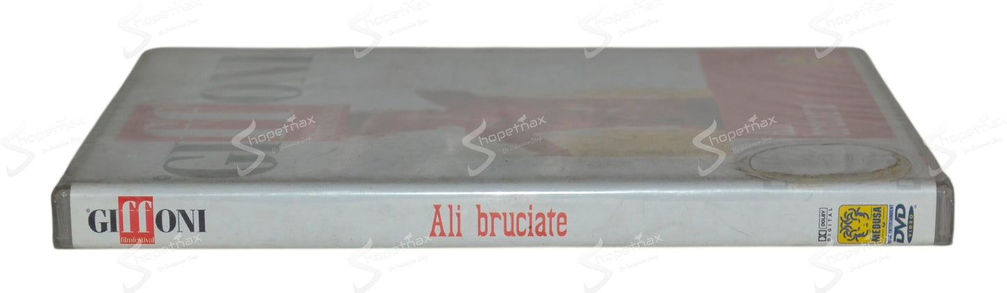 Ali bruciate (Around the Fire) (1998) DVD