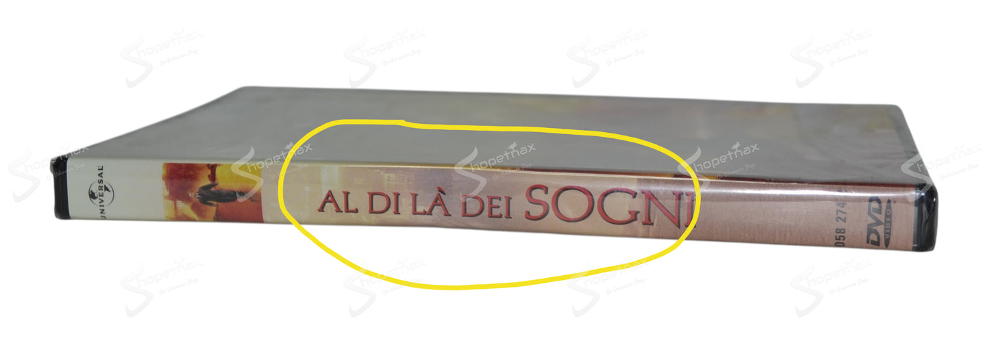 Al di là dei sogni (What Dreams May Come) (1998) DVD