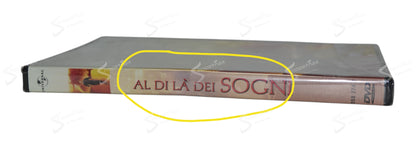 Al di là dei sogni (What Dreams May Come) (1998) DVD